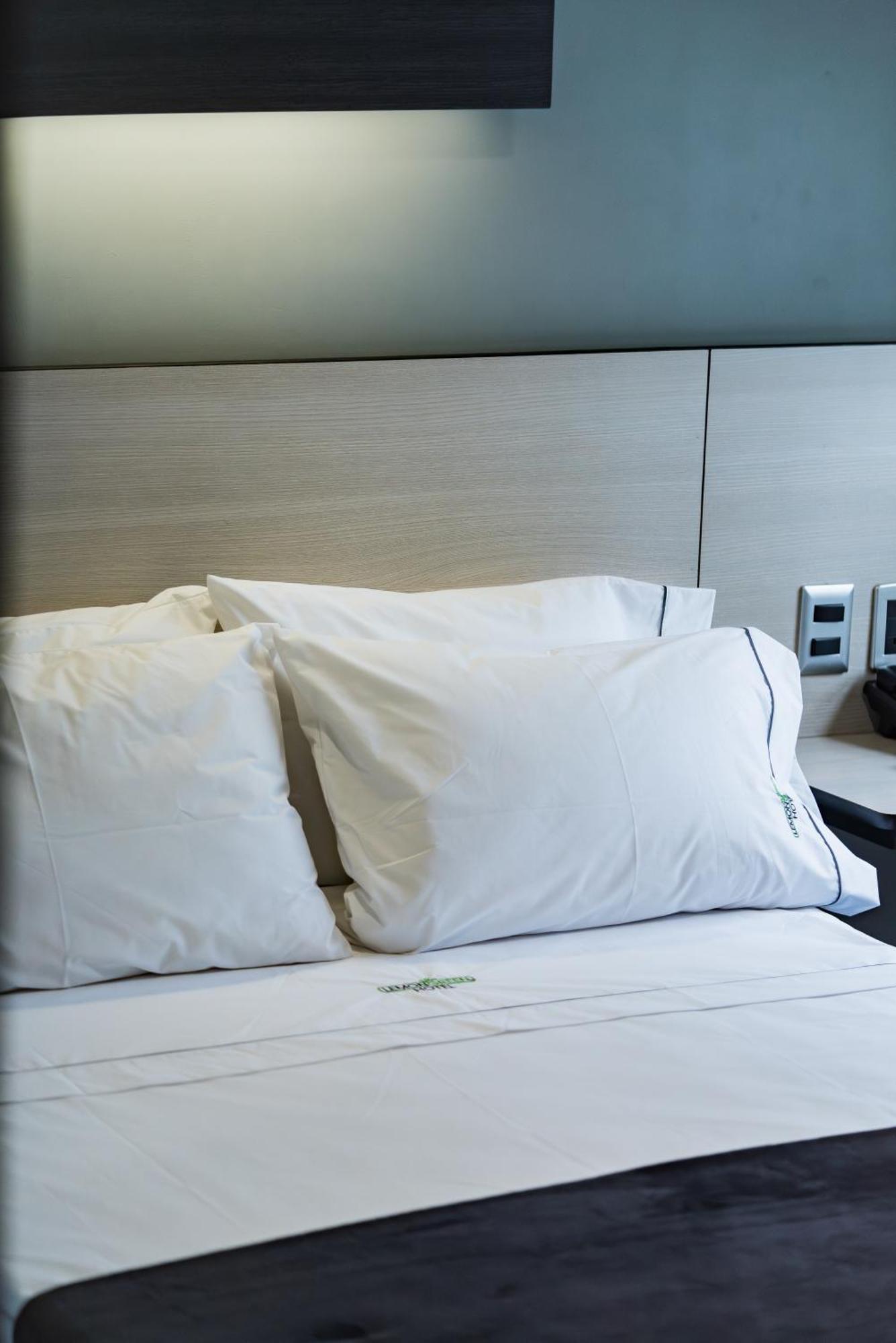 Hotel Lemon Green -Zona Expo Frente Al Centro De Convenciones グアダラハラ エクステリア 写真